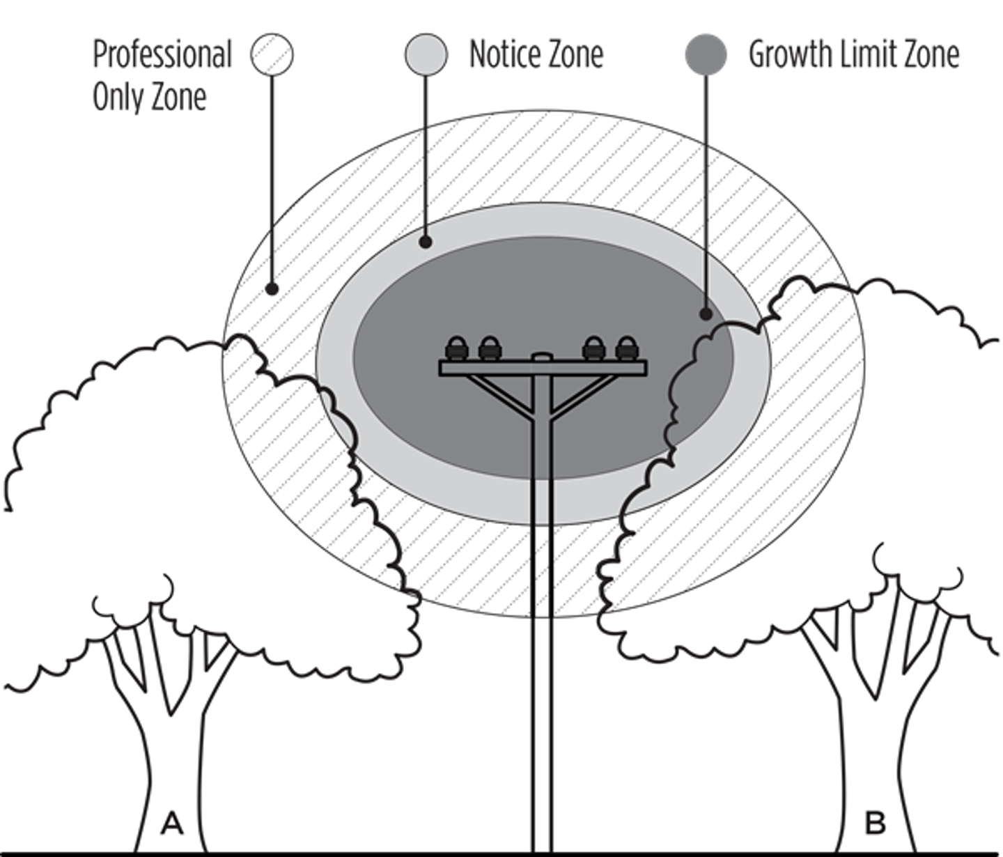 Diagram showing the growth limit zones for trees growing near power lines and power poles. There is the outer ring which from that point inward, is a professional arborist only zone, the middle ring is when you'll receive a notice from us and the inner circle is the growth limit zone. Diagram showing the growth limit zones for trees growing near power lines and power poles. There is the outer ring which from that point inward, is a professional arborist only zone, the middle ring is when you'll receive a notice from us and the inner circle is the growth limit zone.