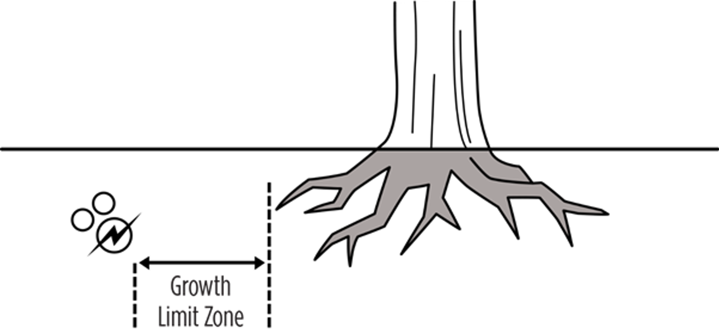 Diagram showing the growth limit zone of tree roots growing near underground cables.
