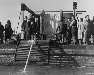 1947, the original submarine electricity cable being lowered into the Otago Harbour