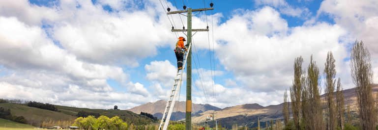 Workers on a ladder against a power pole working in a rural setting