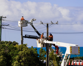 Work happening at heights on power lines in Brighton