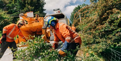 Photo of workers in PPE gear putting tree clippings into a large chipper