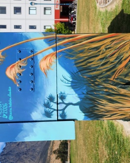 Location: Remarkables Park, Queenstown Artist: Kasia Hebda (coordinated by Te Atamira Community Group) Date: March 2026