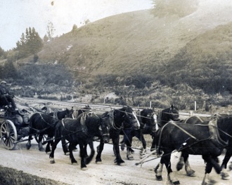 Black and white photo of horse transport heading from Lawrence to Waipori.