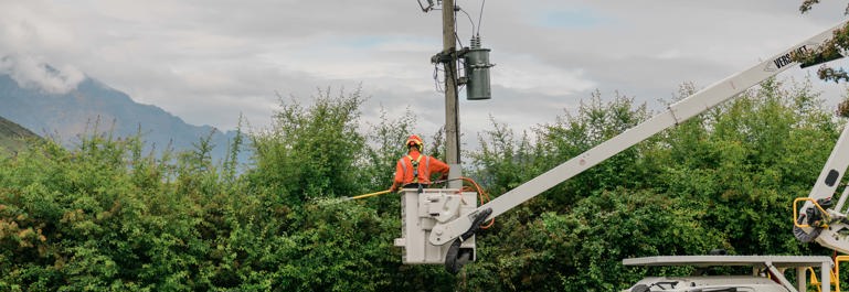 Photo of worker in basket of a raised cherry picker trimming an overgrown hedge that is too close to power line