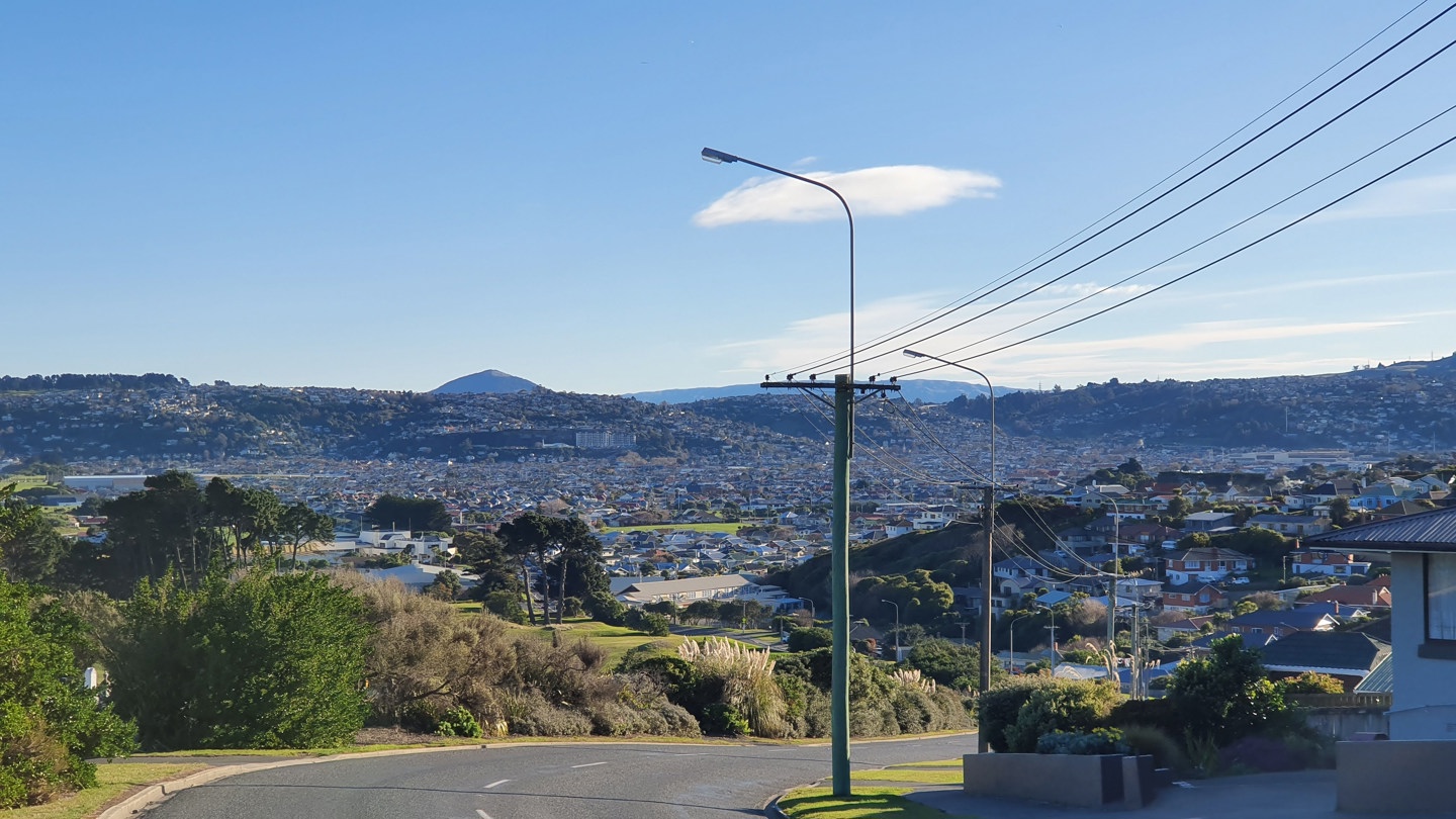 A photo of power lines in the side of a suburban Dunedin. The street is on a hill and the suburbs of South Dunedin and St Clair are visible in the background.