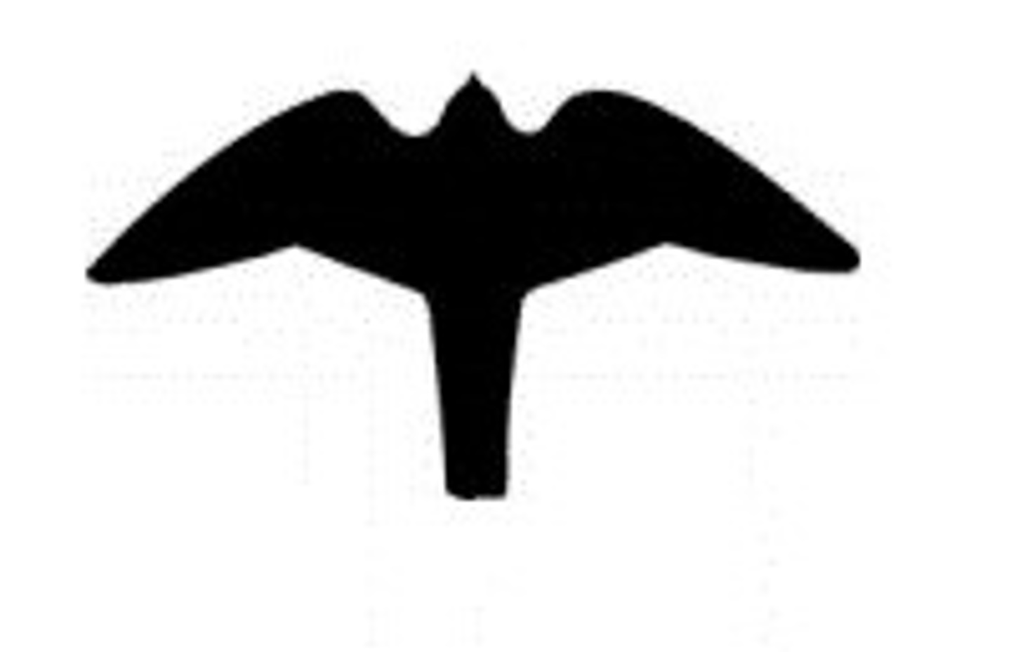 Outline of Kārearea or New Zealand Falcon Outline of Kārearea or New Zealand Falcon