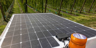 Solar panel in foreground with lines of vines, out of focus in the background