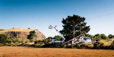 Photo from work in Aramoana. In the foreground there is a brown grass field, in the midground are two trucks, one with a cherry picker that is lifted in the air to replace a power pole. There are two power poles on the ground.