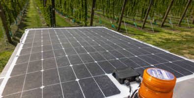 Photo shows a solar panel in the foreground and rows of vines in the background