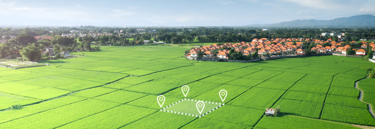 Photo of green pastures in the foreground with one square area marked out with white dotted lines around it. In the background is a subdivision of homes and trees. 